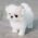 Lily Micro Maltese