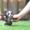 Levi Blue Micro French Bulldog - Image 2