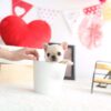 Fenty Mini Frenchie - Image 3
