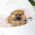 Olivia Micro Pomeranian