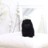 Parker Black Micro Pomeranian - Image 3