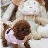 Piper Red Micro Poodle - Image 2