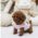 Piper Red Micro Poodle