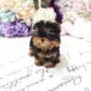 Yolanda Tiny Toy Yorkie - Image 5