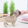 Fabio Mini French Bulldog - Image 2